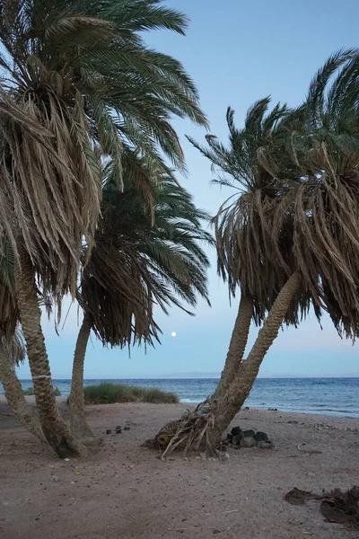 Φεγγάρι Πάνω Από Τον Κόλπο Της Άκαμπα Στην Ερυθρά Θάλασσα — Φωτογραφία Αρχείου