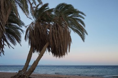 Akabe Körfezi 'nde gün batımında güzel bir deniz manzarası. Akabe Körfezi veya Eilat Körfezi Kızıldeniz 'in kuzey ucunda büyük bir körfezdir. Dahab, Güney Sina Valiliği, Mısır