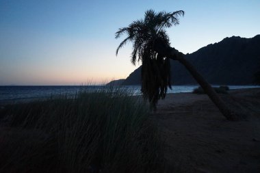 Akabe Körfezi 'nde gün batımında güzel bir deniz manzarası. Akabe Körfezi veya Eilat Körfezi Kızıldeniz 'in kuzey ucunda büyük bir körfezdir. Dahab, Güney Sina Valiliği, Mısır