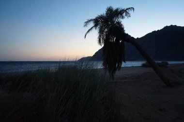 Akabe Körfezi 'nde gün batımında güzel bir deniz manzarası. Akabe Körfezi veya Eilat Körfezi Kızıldeniz 'in kuzey ucunda büyük bir körfezdir. Dahab, Güney Sina Valiliği, Mısır