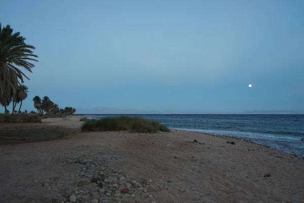 Lune Dessus Golfe Aqaba Mer Rouge Octobre Dahab Gouvernorat Sinaï — Photo