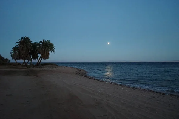 Luna Sul Golfo Aqaba Nel Mar Rosso Nel Mese Ottobre — Foto Stock