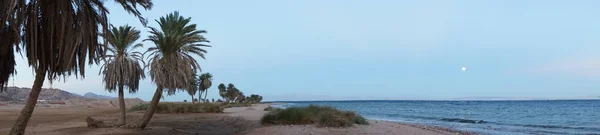 Panorama Photo Beau Paysage Marin Dans Soirée Dahab Gouvernorat Sinaï — Photo