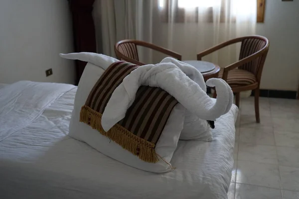 Слон Готелі Зроблений Подушки Рушників Килима Дахаб Провінція Південна Сінай — стокове фото
