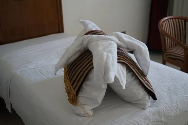 Egy Elefánt Egy Hotelben Párnából Törölközőkből Szőnyegből Dahab Dél Sínai — Stock Fotó