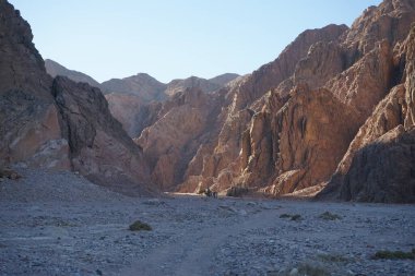 Dahab, Güney Sina Valiliği, Mısır 'ın pitoresk çevresindeki dağların arka planına karşı develer  