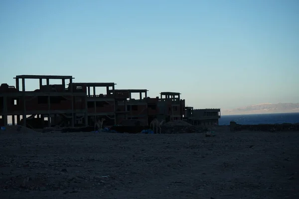 Arkasında Akabe Körfezi Olan Bir Inşaat Alanında Develer Dahab Güney — Stok fotoğraf