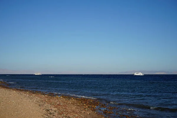 Naves Mar Rojo Golfo Aqaba Dahab Provincia Del Sinaí Meridional — Foto de Stock