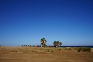Akabe Körfezi 'ndeki Kızıl Deniz' in güzel deniz manzarası. Dahab, Güney Sina Valiliği, Mısır