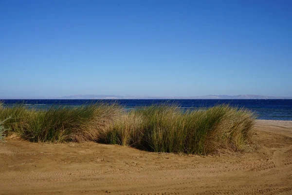 Vacker Havsutsikt Över Röda Havet Akababukten Dahab Södra Sinai Governorate — Stockfoto