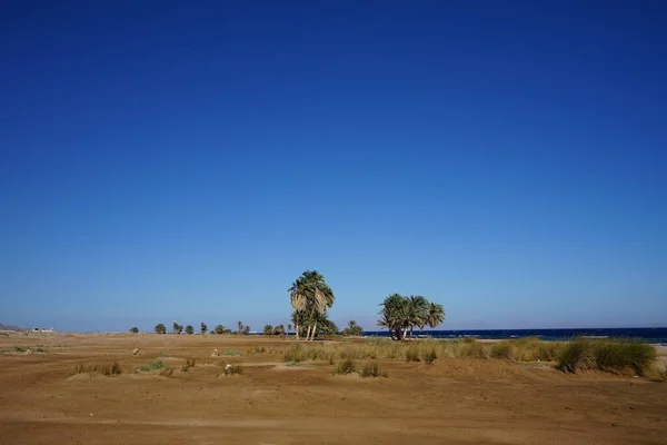 Bellissimo Paesaggio Marino Del Mar Rosso Nel Golfo Aqaba Dahab — Foto Stock