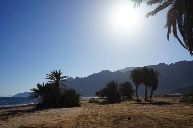 Kızıl Deniz kıyısında dağın arkasında gün batımı. Dahab, Güney Sina Valiliği, Mısır 