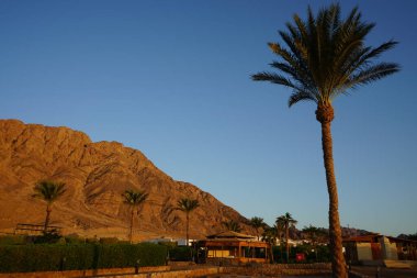 Ekim ayında otelin yanında tropik bitki örtüsü olan dinlenme alanı. Dahab, Güney Sina Valiliği, Mısır
