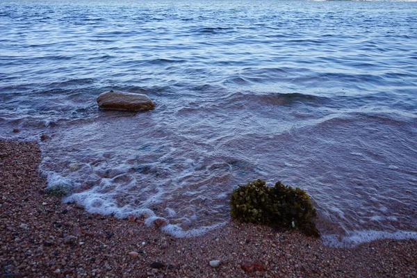 Ondas Costeiras Tranquilas Mar Vermelho Golfo Aqaba Dahab Sul Sinai — Fotografia de Stock