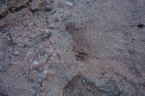 Costa Pedra Mar Vermelho Com Recifes Dahab Sul Sinai Governorate — Fotografia de Stock