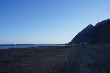 Akabe Körfezi 'nde Kızıl Deniz kıyısı boyunca at sürüyor. At, Equus ferus caballus, tek parmaklı evcil bir toynaklı memelidir. Dahab, Güney Sina Valiliği, Mısır