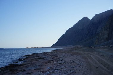 Akabe Körfezi 'nde Kızıl Deniz kıyısı boyunca at sürüyor. At, Equus ferus caballus, tek parmaklı evcil bir toynaklı memelidir. Dahab, Güney Sina Valiliği, Mısır
