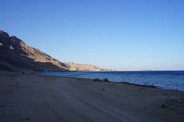 Equitazione Lungo Costa Del Mar Rosso Nel Golfo Aqaba Cavallo — Foto Stock