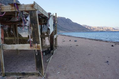 Akabe Körfezi 'ndeki Kızıldeniz' in yerel sakinleri için güneş tepe örtüsü olan dinlenme alanı. Dahab, Güney Sina Valiliği, Mısır 