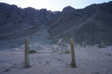 Akabe Körfezi 'ndeki Kızıldeniz kıyısında palmiye ağaçları. Dahab, Güney Sina Valiliği, Mısır