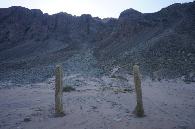 Akabe Körfezi 'ndeki Kızıldeniz kıyısında palmiye ağaçları. Dahab, Güney Sina Valiliği, Mısır