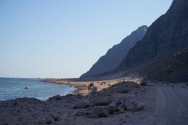 Turistler Akabe Körfezi 'nde Kızıldeniz kıyısı boyunca develere biniyorlar. Dahab, Güney Sina Valiliği, Mısır 