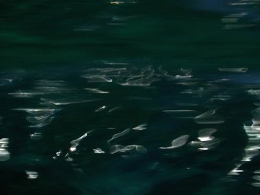 Su altı fotoğrafçılığı. Kızıl Deniz 'de balıklı mercan kayalıkları. Resif, canlı organizmalar tarafından oluşturulan biyojeolojik bir yapıdır. Dahab, Güney Sina Valiliği, Mısır  