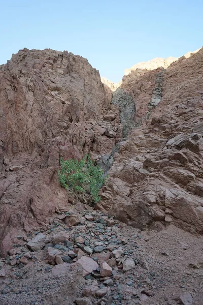 Krásná Horská Krajina Blízkosti Malakot Mountain Oasis Wadi Gnai Dahab — Stock fotografie