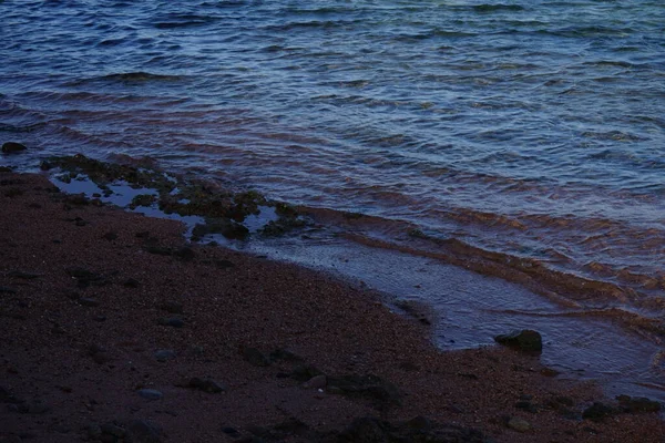 Берегові Хвилі Червоного Моря Затоці Акаба Дахаб Провінція Південна Сінай — стокове фото