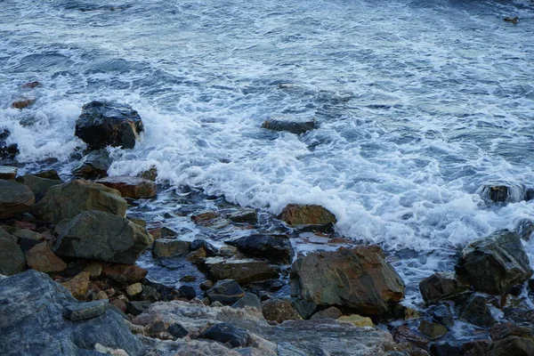 Magnifica Costa Del Mar Rosso Nel Golfo Aqaba Dahab Governatorato — Foto Stock