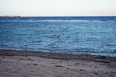 Akabe Körfezi 'ndeki muhteşem Kızıldeniz sahili. Dahab, Güney Sina Valiliği, Mısır 