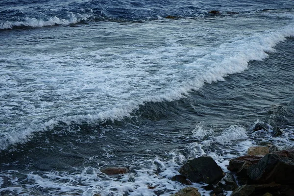 Magnifica Costa Del Mar Rosso Nel Golfo Aqaba Dahab Governatorato — Foto Stock