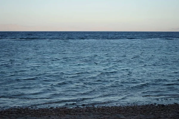 Magnifique Côte Mer Rouge Dans Golfe Aqaba Dahab Gouvernorat Sinaï — Photo