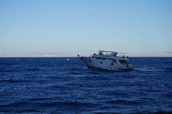 Корабль Красном Море Заливе Акаба Дахаб Провинция Южный Синай Египет — стоковое фото