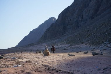 Turistler Kızıl Deniz kıyısı boyunca at sırtında geziyorlar. Dahab, Güney Sina Valiliği, Mısır 