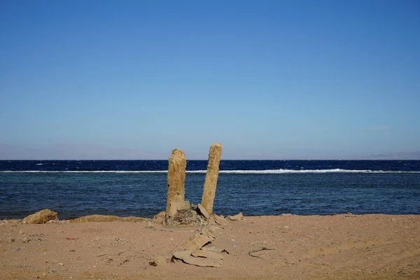 Palmier Souches Dans Contexte Mer Rouge Dans Golfe Aqaba Dahab — Photo