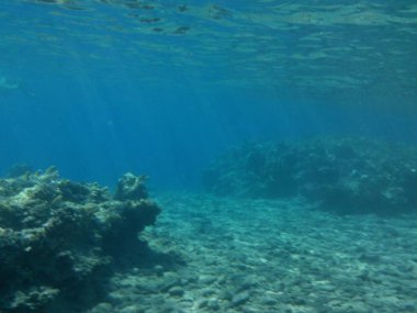Dahab 'ın sualtı dünyası. Kızıl Deniz 'de balıklı mercan kayalıkları. Resif, canlı organizmalar tarafından oluşturulan biyojeolojik bir yapıdır. Su altı fotoğrafçılığı. Dahab, Güney Sina Valiliği, Mısır  