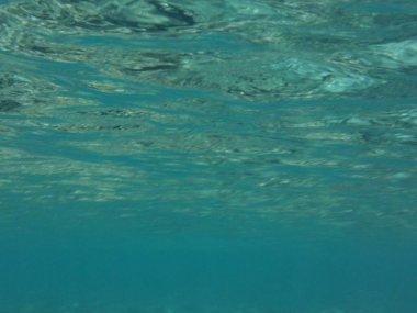 Dahab 'ın sualtı dünyası. Kızıl Deniz 'de balıklı mercan kayalıkları. Resif, canlı organizmalar tarafından oluşturulan biyojeolojik bir yapıdır. Su altı fotoğrafçılığı. Dahab, Güney Sina Valiliği, Mısır  