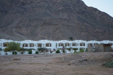 Deve kervanı otelin arka planına ve dağlara doğru gidiyor. Dahab, Güney Sina Valiliği, Mısır