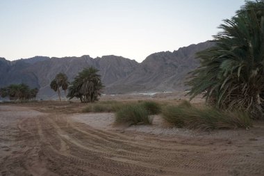 Otel ve dağ manzaralı güzel bir akşam manzarası. Dahab, Güney Sina Valiliği, Mısır