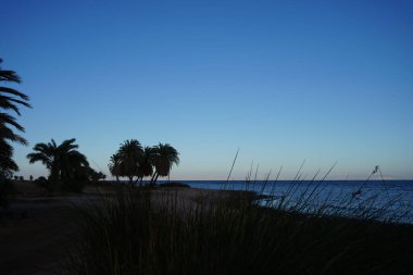 Akabe Körfezi 'ndeki Kızıldeniz kıyısında çimler. Dahab, Güney Sina Valiliği, Mısır