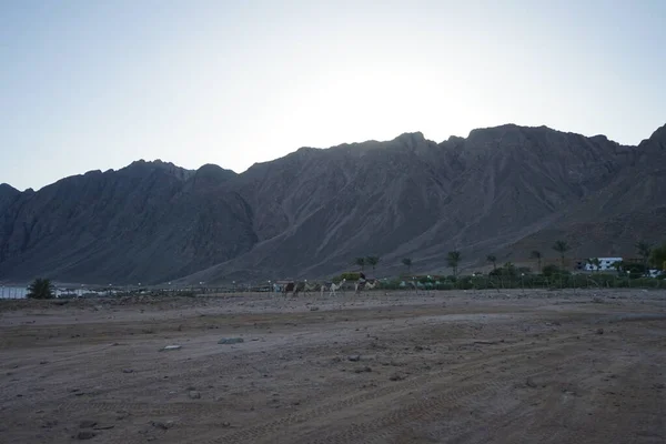 Beautiful evening landscape with a view of the hotel and mountains. Dahab, South Sinai Governorate, Egypt