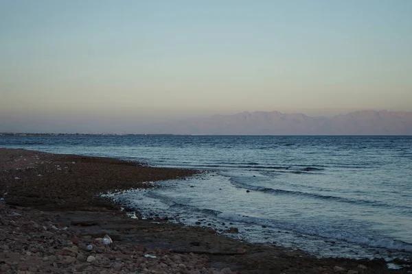 Magnifica Costa Del Mar Rosso Nel Golfo Aqaba Dahab Governatorato — Foto Stock