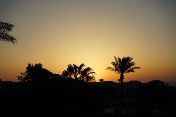 Východ Slunce Nad Aqabským Zálivem Veselou Vesnicí Dahab Guvernér Jižního — Stock fotografie