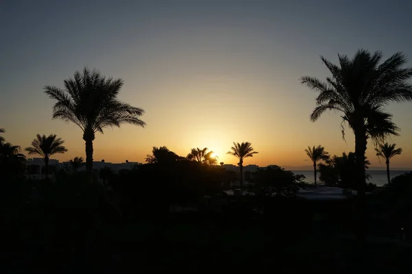 Восход Солнца Над Заливом Акаба Деревней Счастливой Жизни Дахаб Провинция — стоковое фото
