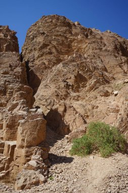 Malakot Dağı Oasis, Wadi Gnai, Dahab, Güney Sina Valiliği, Mısır  