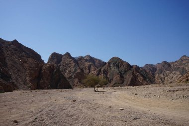 Malakot Dağı Oasis, Wadi Gnai, Dahab, Güney Sina Valiliği, Mısır  