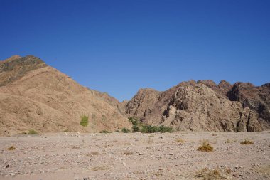 Malakot Dağı Oasis, Wadi Gnai, Dahab, Güney Sina Valiliği, Mısır  