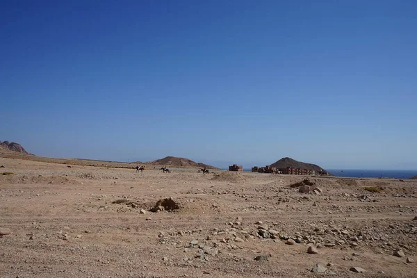 Cavaleiros Cavalo Malakot Mountain Oásis Local Turístico Dahab Sul Sinai — Fotografia de Stock