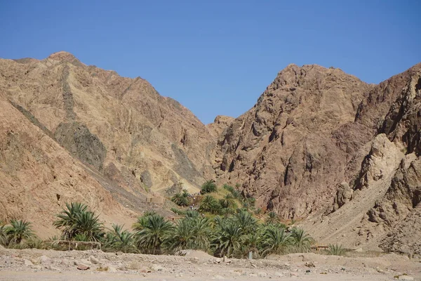 Prachtig Landschap Van Malakot Mountain Oasis Wadi Gnai Dahab Zuid — Stockfoto